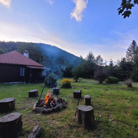 Vila Patysiowka Stronie Śląskie Exteriér fotografie