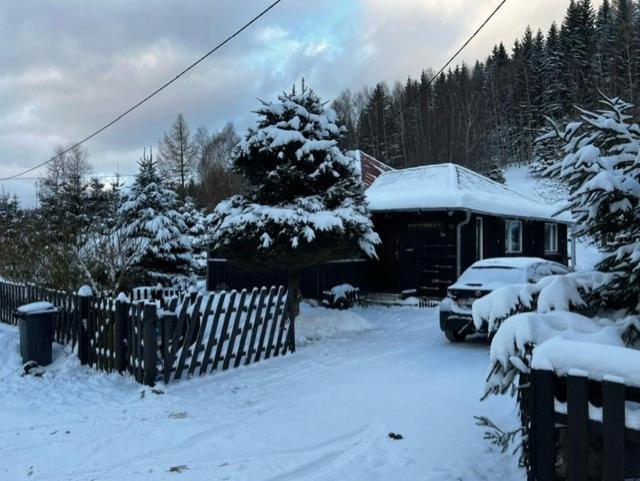 Vila Patysiowka Stronie Śląskie Exteriér fotografie